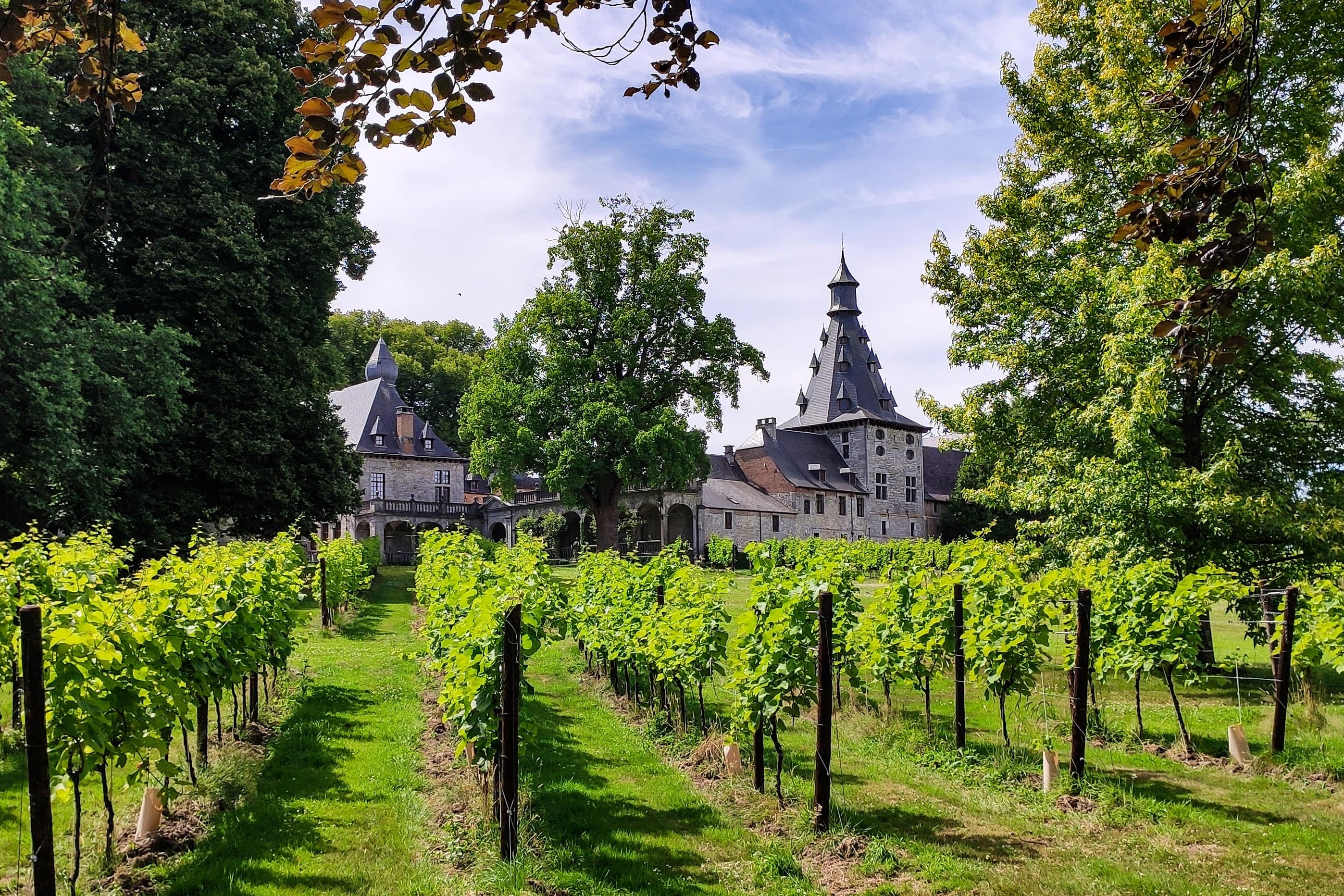 Château de Bioul