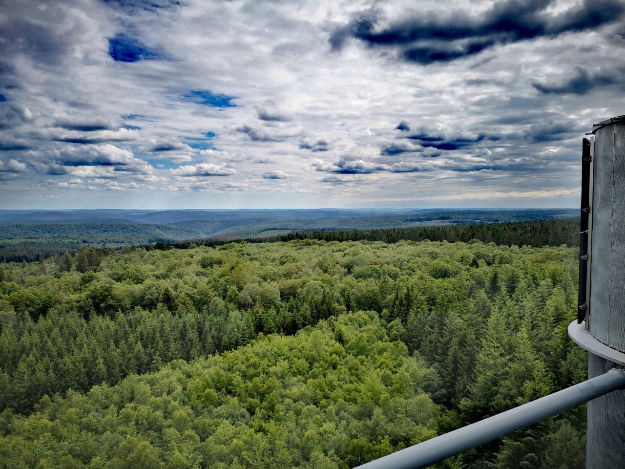 Massif forestier de la Croix Scaille de la Tour
