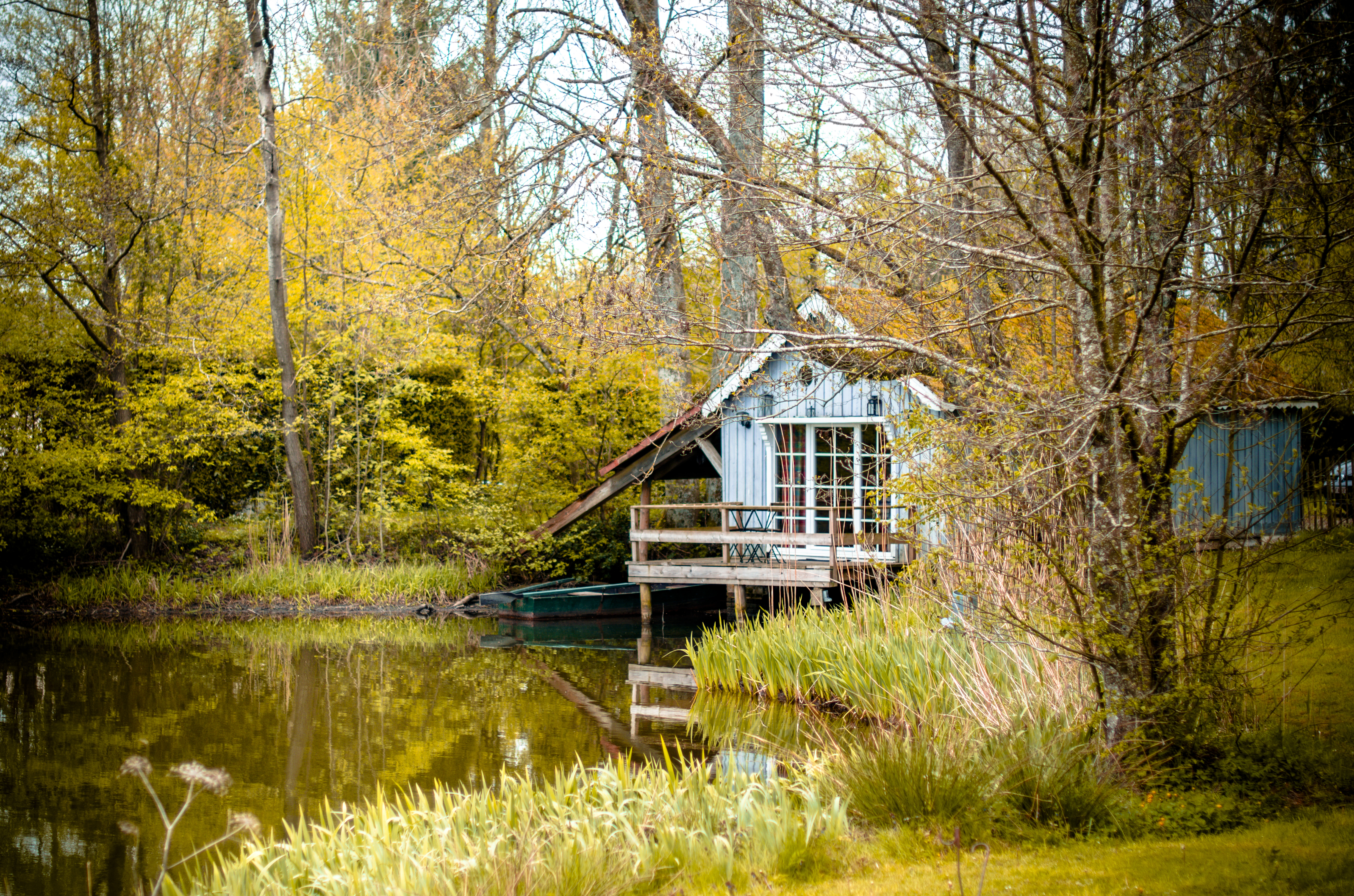 Cabane au bord de l'étang