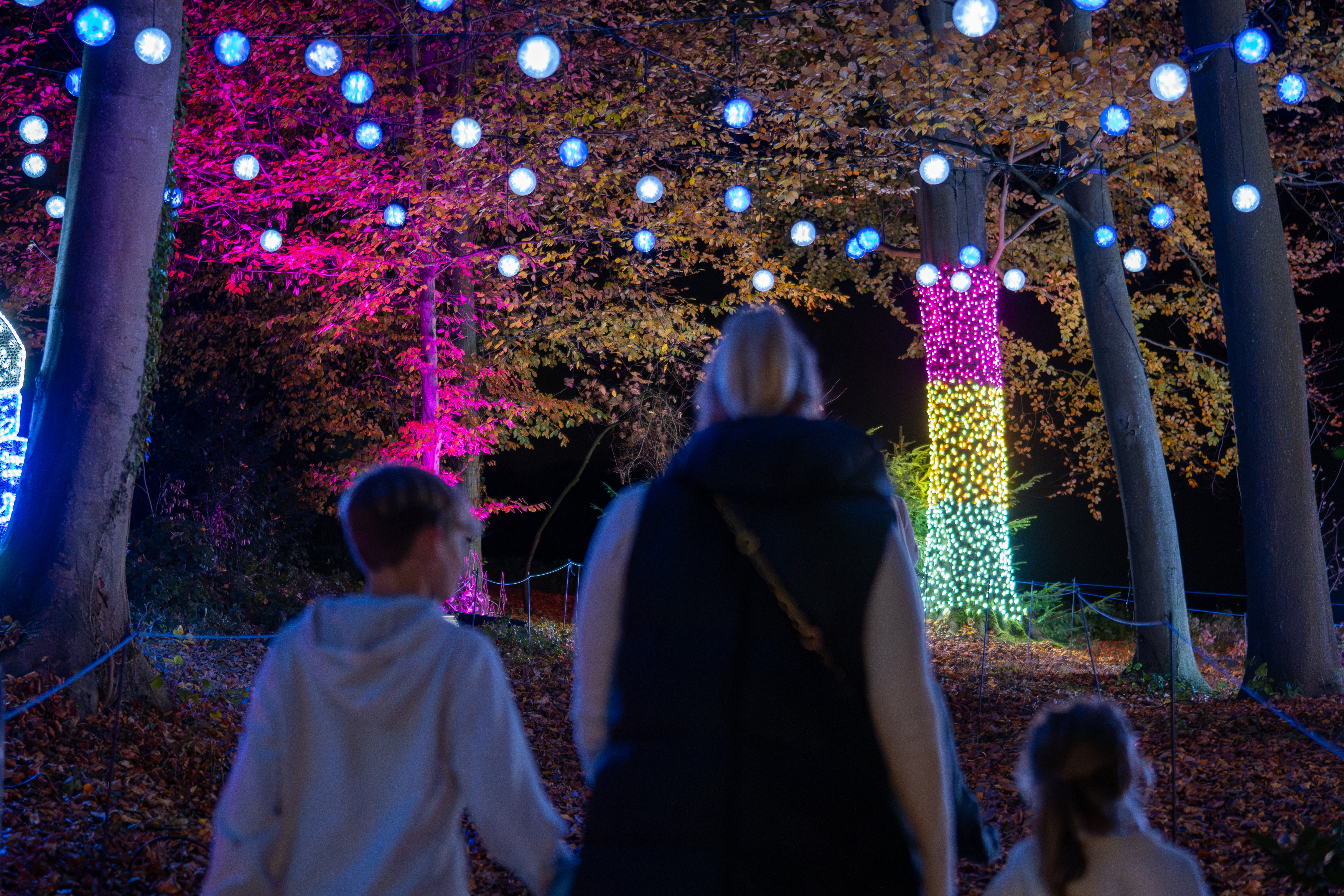 Garden of lights - Rixensart