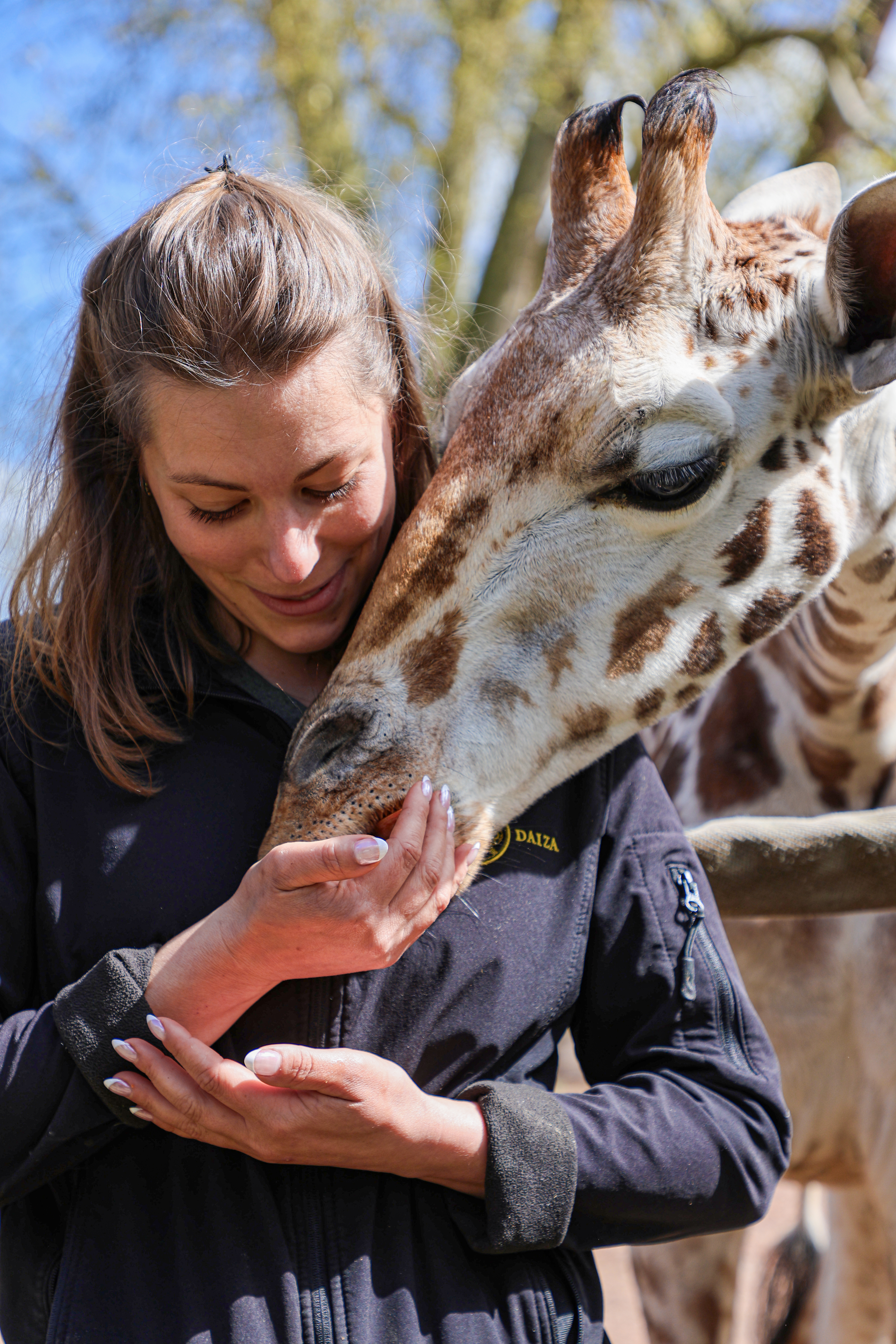 Pairi Daiza - Girafe