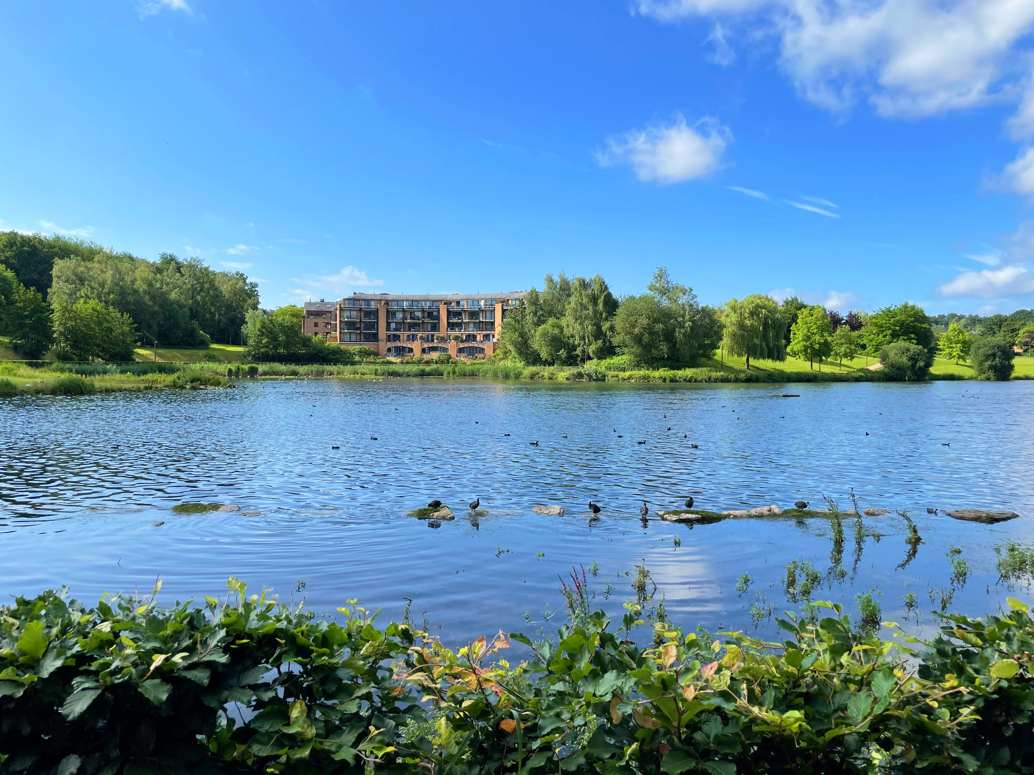 Lac de Louvain-la-Neuve