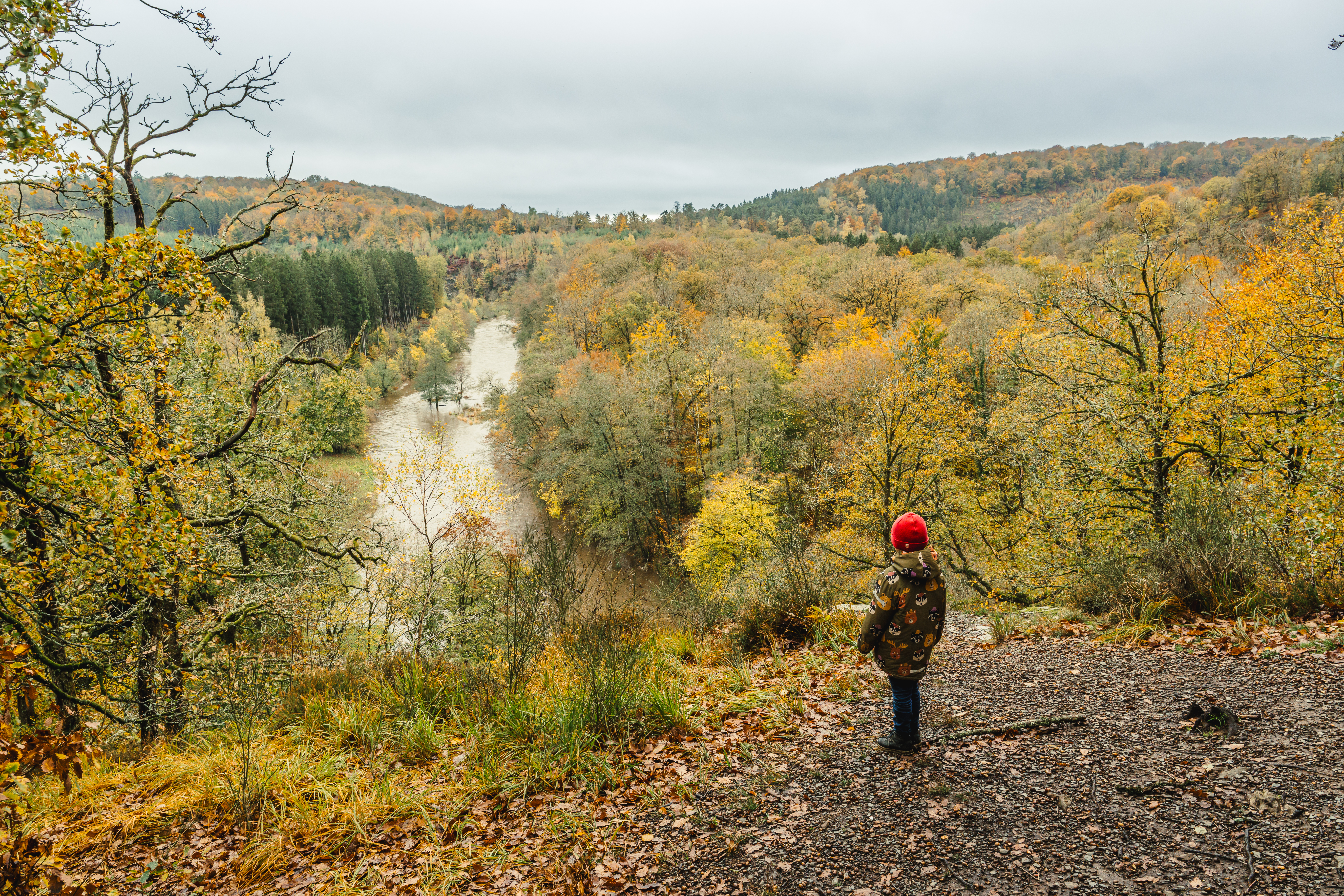 Point de vue de l'écureuil et forêt sur les versants de la Semois